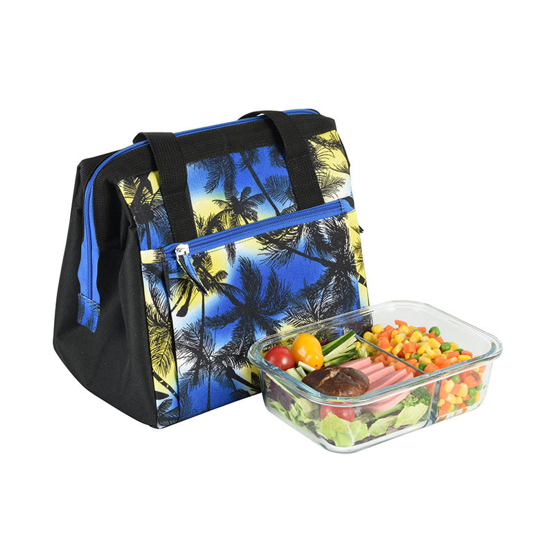 JS-CL-007-Cooler Bag / Picnic Bag